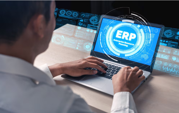 erp ERP Custom Development